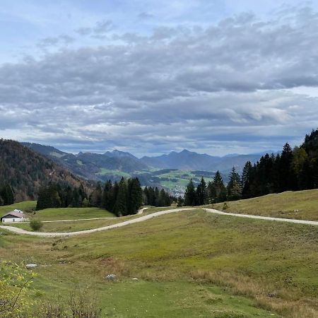 Ferienhaus Kaiserblick - Fewo2 Walchsee Kültér fotó